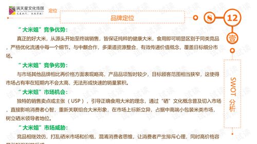 大米姐品牌營(yíng)銷策劃案商業(yè)計(jì)劃書(shū)